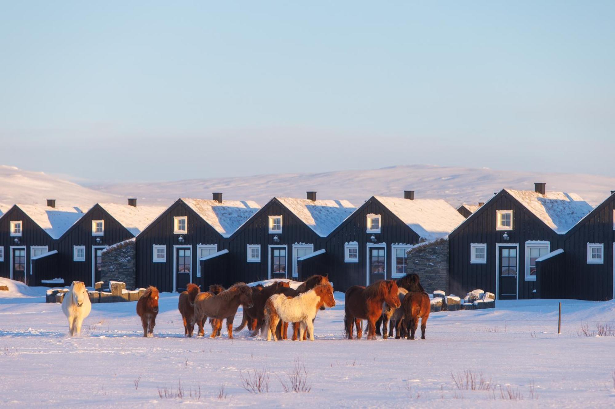 Отель Torfhus Retreat Селфосс Экстерьер фото